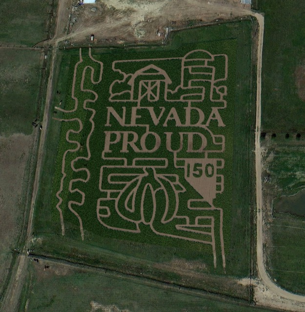 Corn maze view 4